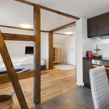 Klara 1033 - Olma, Spital, Uni St- Gallen Apartment *
