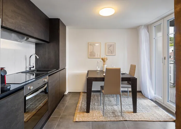 Appartement Klara 1033 - Olma, Spital, Uni St- Gallen *